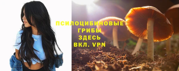 PSILOCYBIN Карпинск