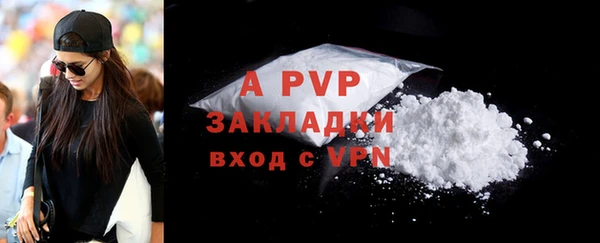 PSILOCYBIN Карпинск