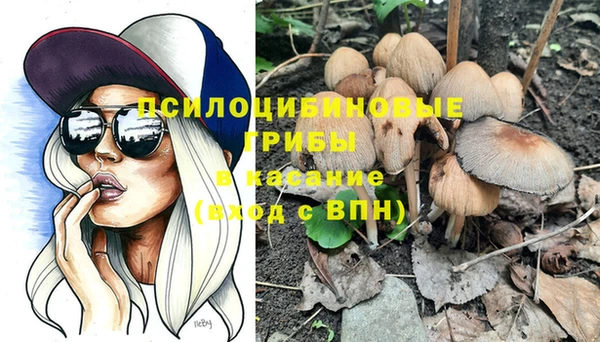 круглые Карталы